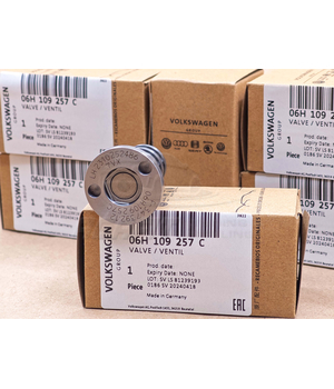 Клапан регулировки фаз VAG 06H 109 257 C