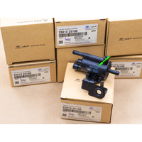 Клапан электромагнитный вентиляции топливного бака для HYUNDAI / KIA 28910-25100