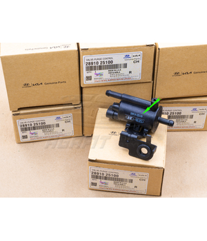 Клапан электромагнитный вентиляции топливного бака для HYUNDAI / KIA 28910-25100